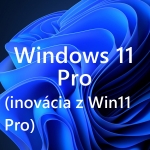 OEM Windows 11  Professional (digitálny licenčný kľúč)