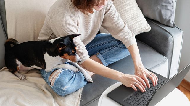 ASUS Vivobook 15 X1500EA, najdostupnejší Intel Core i5 notebook s IPS displejom. ASUS Vivobook 15 X1500EA, najdostupnejší Intel Core i5 notebook s IPS displejom.